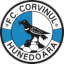 Football: FC Corvinul Hunedoara 1921 vs FC Universitatea Cluj - Live ...